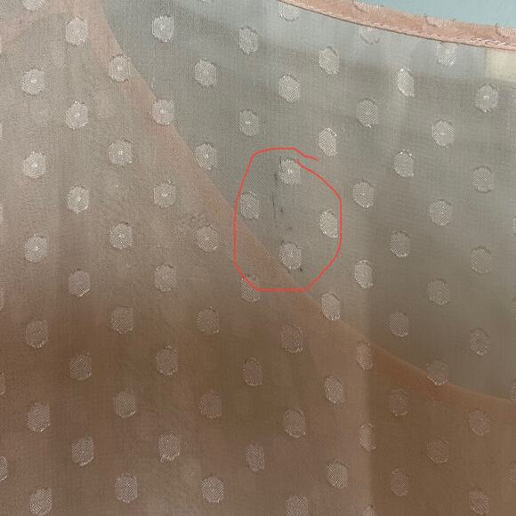 Black Rainn Peach Sheer Swiss Dot Shirt Size L Sleeveless - Picture 9 of 9